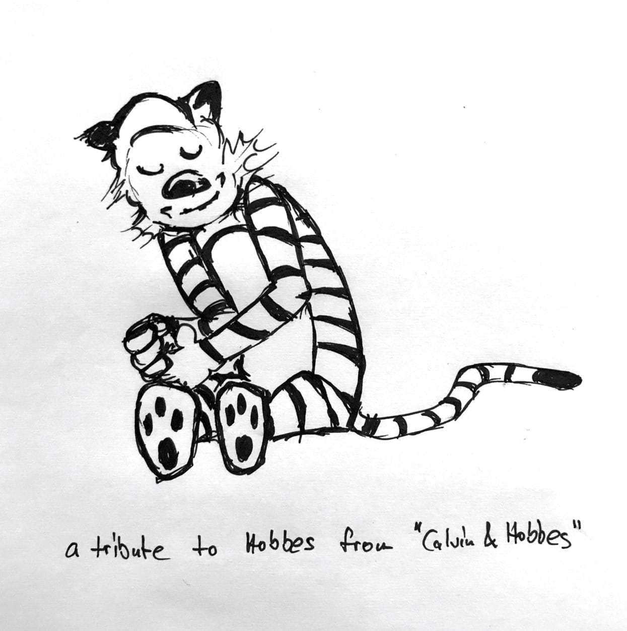 Sketch / comic drawing of Hobbes, the tiger from the Calvin and Hobbes comics